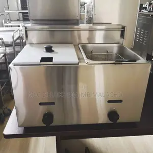 2 Tanks Gas Deep Fryer/Double 10 Liters Gas Deep Fryers