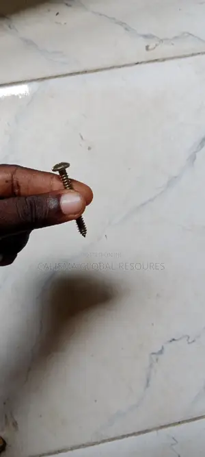 Tapping Screw