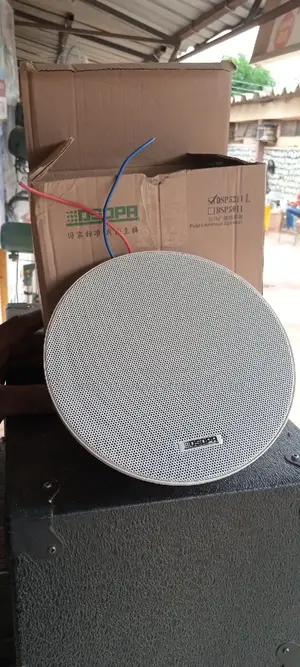 20watts Dsppa Ceiling Speaker