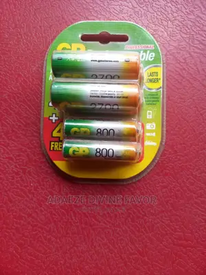 Professional GP 800 And 2700 Series Batteries