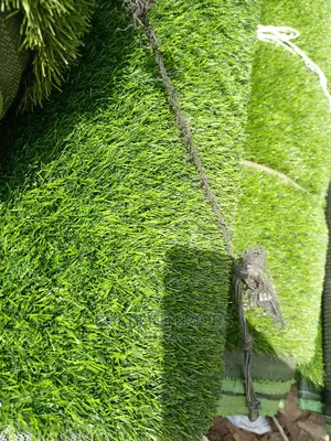 Artificial Carpet Grass Garden