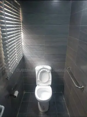 Professional Plumber