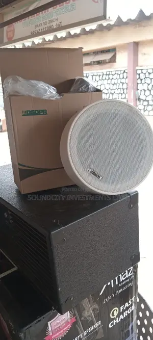 DSPPA Suspended Ceiling Speaker