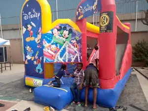 Brand New Disney Themed Bouncy Castle
