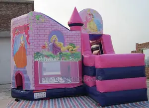 Princess Themed Combo Bouncy Castle