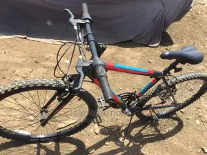 1st Grade Best German Sport Bicycle for Sale