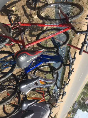 Savoy 1st Grade Best German Sport Bicycle for Sale