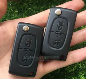 2 Buttons Remote Key Shell for Peugeot 308 307 207 206 407