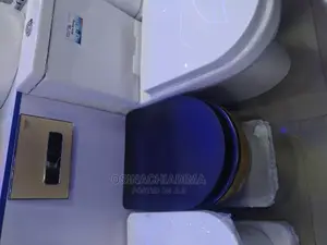 Inwall Executive Toilet Seat