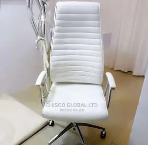 Office Chair (Ergonomic,)
