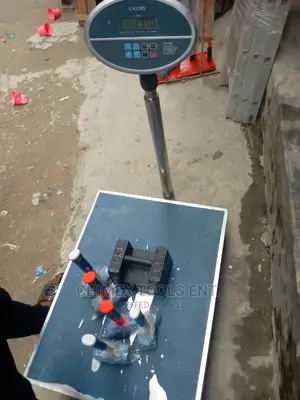 Digital Platform Scale 500kg
