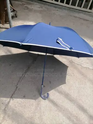 Big Blue Umbrella