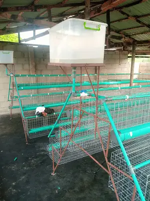 Battery Cage for Birds