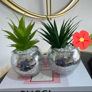 LU; Multipurpose Silver Vase