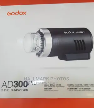 Godox Ad300pro
