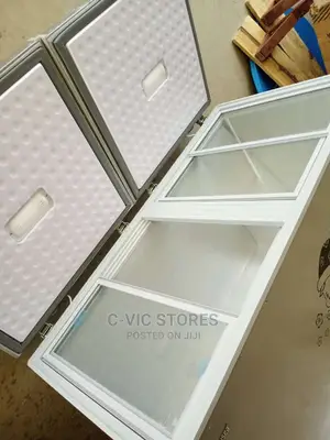 Snowsea Double Door Freezer Bd-600
