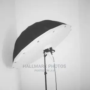 Parabolic Umbrella