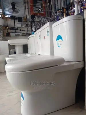 Quality Top Flush Designed Ceramic Water Closet.