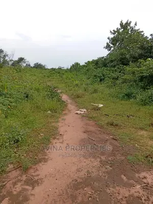 A Total of 14 Plots of Land Already Surveyed in Eziobodo
