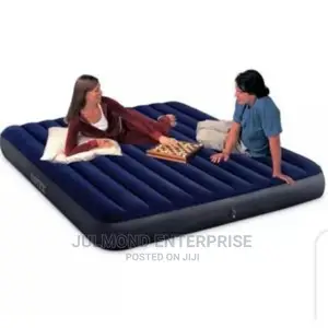 Intex Inflatable 2-3 Person Classic Downy Airbed