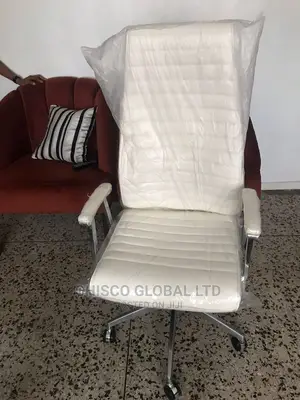 Office Chair (Ergonomic)