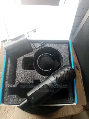 Taskar Studio Microphone.