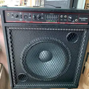 Bass Combo Speaker