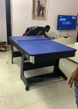 2 in 1 Snooker and Tennis Board