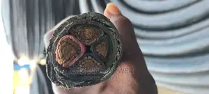 120mm 4xcore Armored Cable Available at Affordable Price