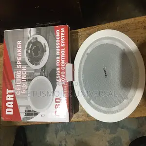 Quality 6.5inches Ceiling Speaker/30w