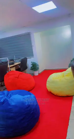 Exotic Bean Bag Chairs