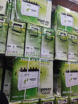 Mpower 220A Tubular Battery