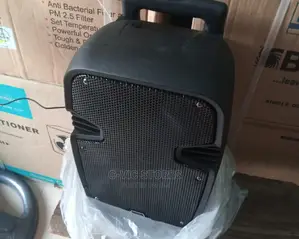 8'' Rechargeable Public Address System Bluetooth 2 Mic, Fm