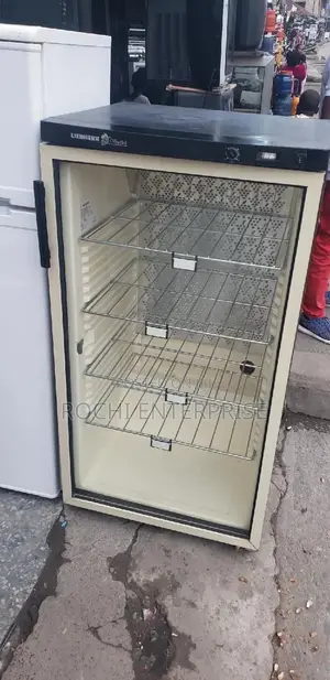 Display Fridge Chiller Fridge Refrigerator