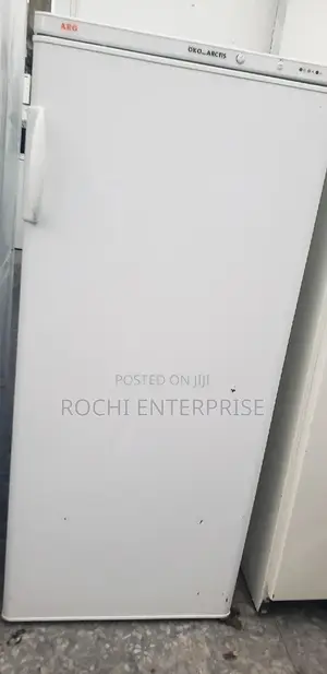 Standing Freezer Refrigerator