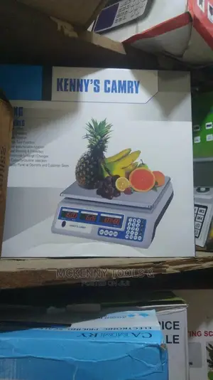 40kg Cammry Digital Pricing Scale