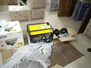 Sumec Firman Spg4000e2 Automatic Generator