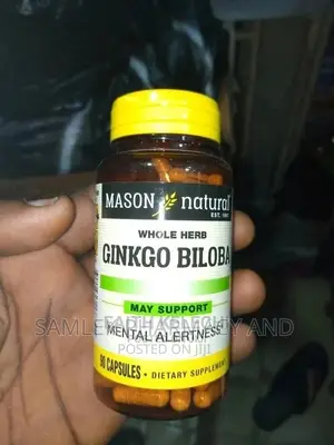 Mason Natural Gingko Biloba