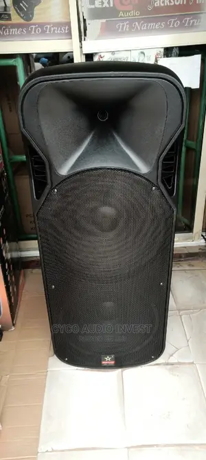Original SINEL Sound Double PA System SP-215