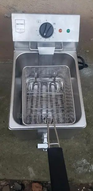Industrial Deep Fryer