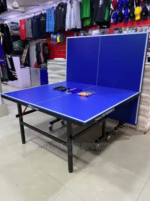 Hagai Waterproof Outdoor Table Tennis Board With 4bats