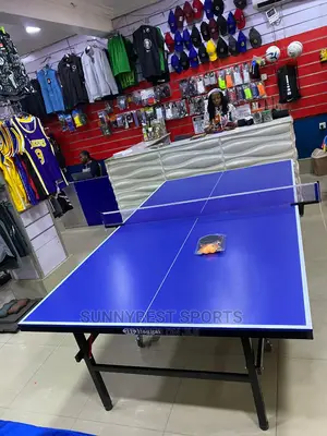 Outdoor Table Tennis Brand One