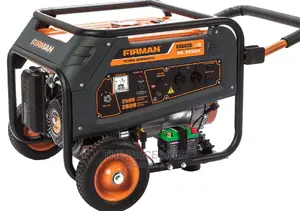 Firman Rd 3910 Rugged Line Model
