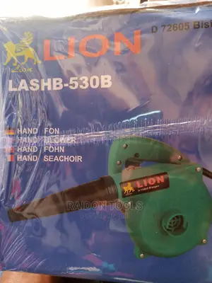 Lion Air Blower