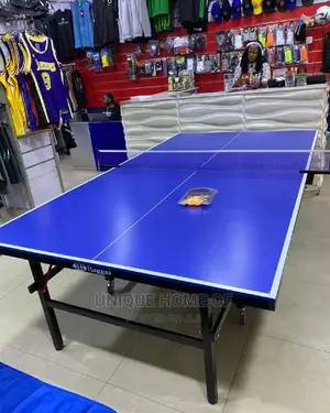 Waterproof Outdoor Table Tennis With Accessories