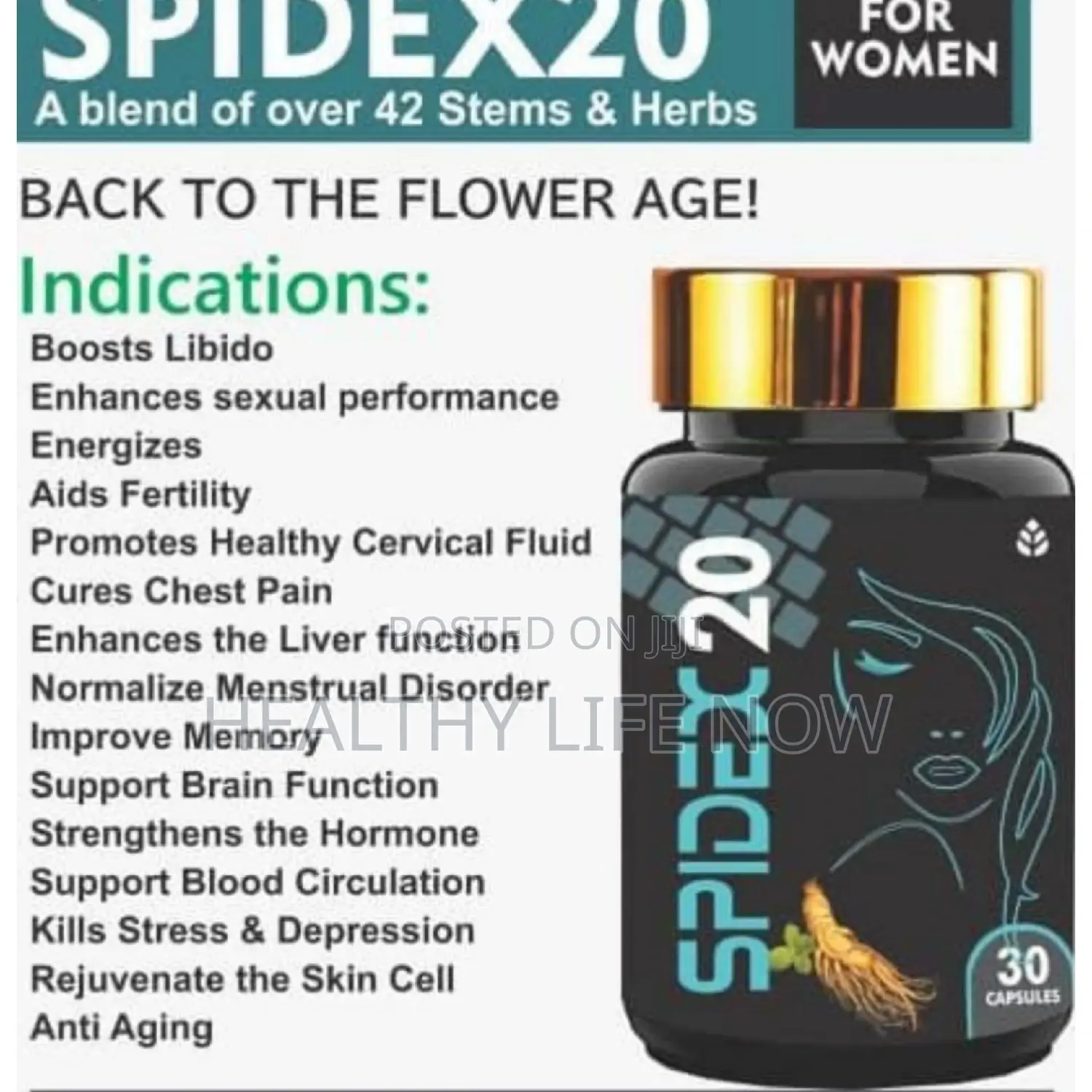 Spidex20 Return Back to Flower Age