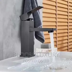 Matte Black Basin Faucet