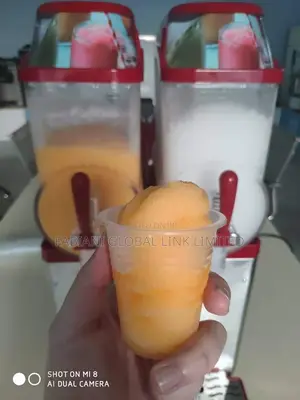 2-Tank Commercial Slush Machine