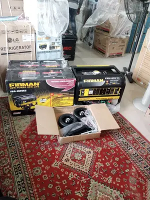 Fpg4800e2 Firman Automatic Generator 6.5kva