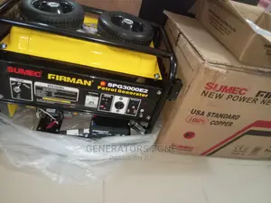Spg3000e2 Automatic Firman Generator 4.5kva